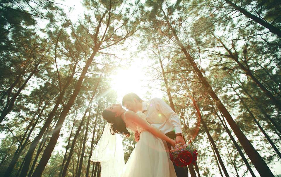 Chụp ảnh cưới ở rừng thông Bản Áng Mộc Châu