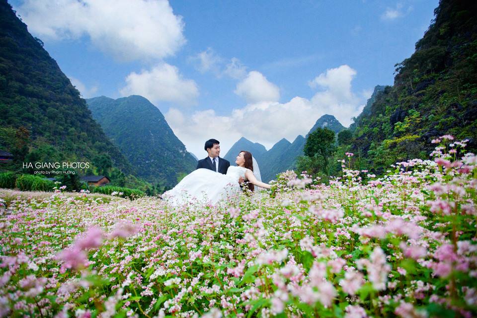 Chụp ảnh cưới ở thung lũng Sủng Là mùa hoa tam giác mạch
