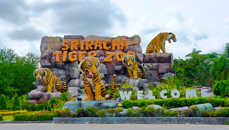 vườn-thú-siracha-tiger-zoo